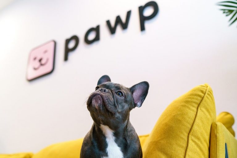 Pawp Pet Insurance Review