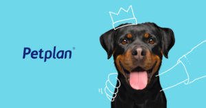 Petplan