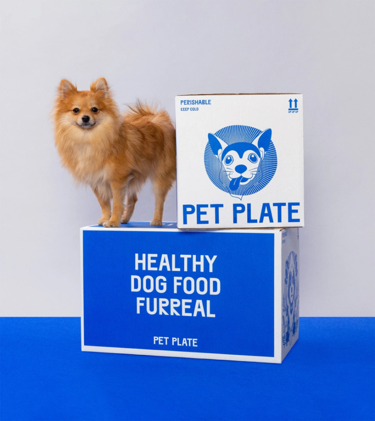 Pet Plate Dog Food Review Is Fresh Food The Best?